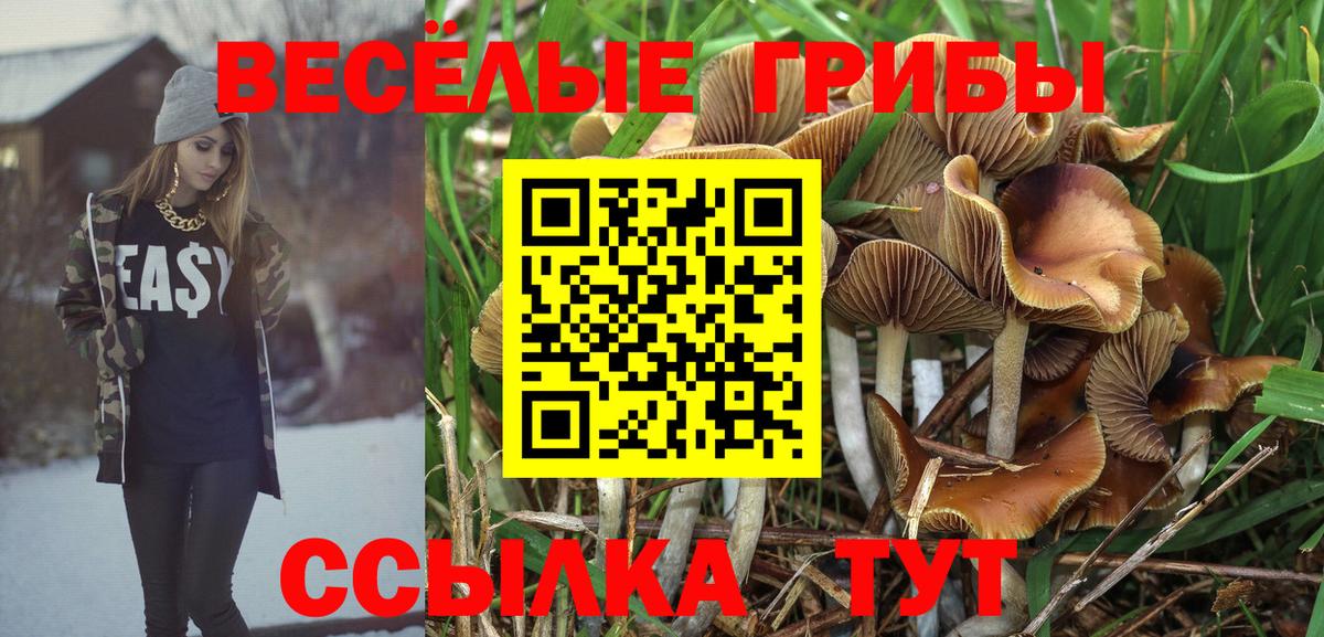 Галлюциногенные грибы GOLDEN TEACHER Скопин