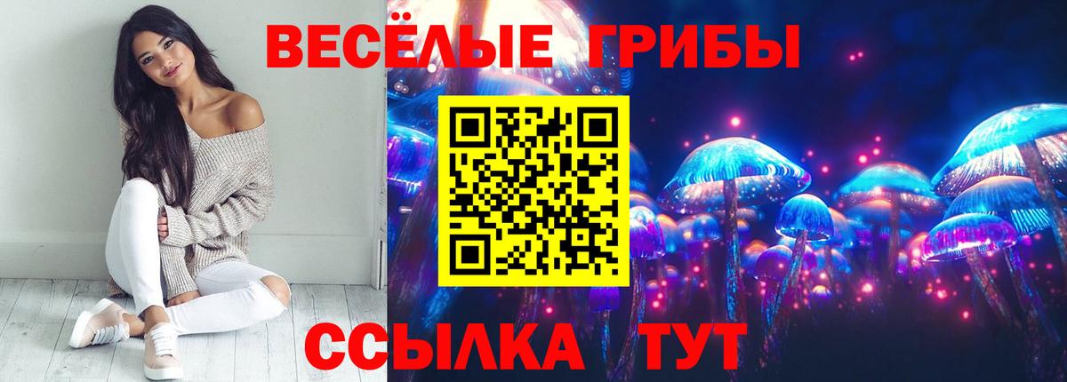 Галлюциногенные грибы MAGIC MUSHROOMS  Галлюциногенные грибы Psilocybe  Скопин  Вход с VPN 
